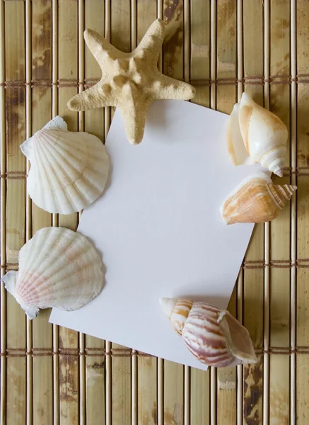 Marco con conchas marinas —  Fotos de Stock