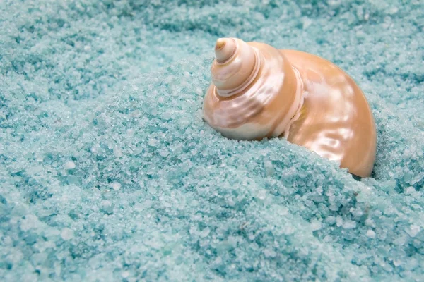 Seashell in Blue Bath Salt — Stock Photo, Image