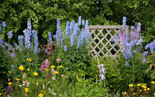 Bahçedeki renkli çiçekler