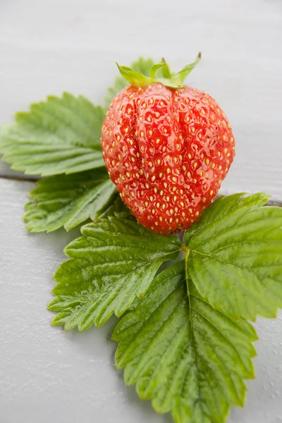One Sweet Strawberry and Green Leaves — Stock Photo, Image