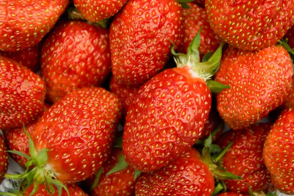 달콤한 빨간 딸기 배경 — 스톡 사진