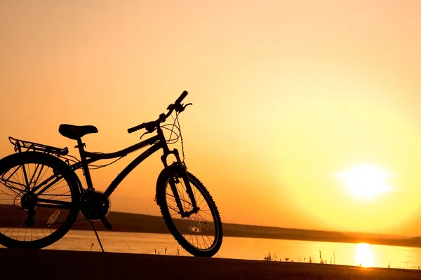 1269 bisiklet — Stok fotoğraf