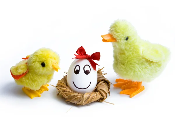 stock image Small easter chick