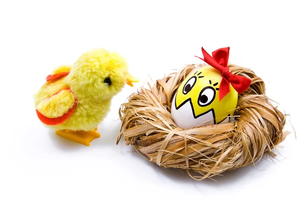 stock image Small easter chick