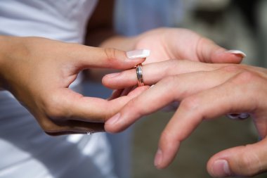 A bride giving her groom a ring clipart