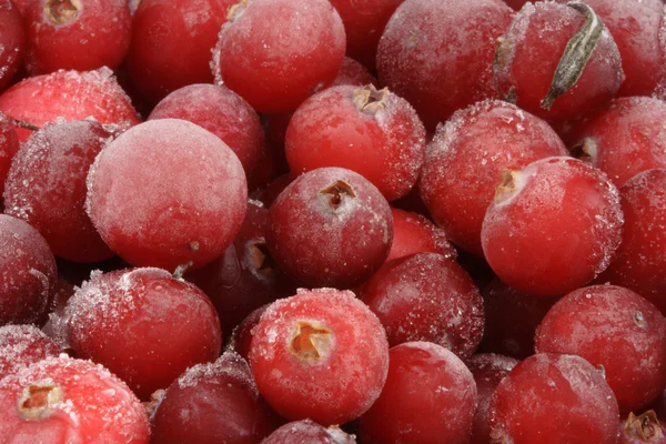 Bevroren cranberry. — Stockfoto