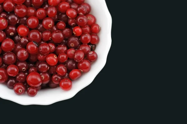 Verse cranberry op een plaat. — Stockfoto