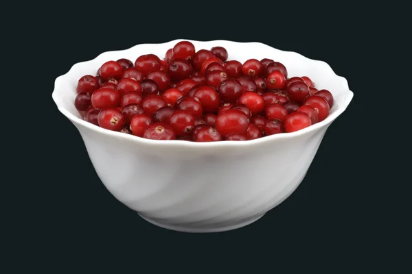 Verse cranberry in kom. — Stockfoto