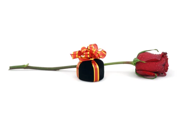 Single red rose and gift box. — Stock Photo, Image