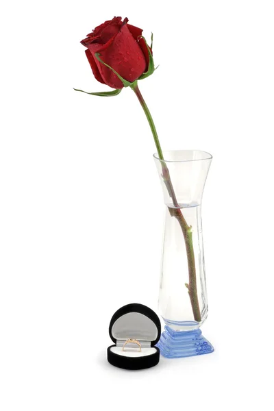 Rosa vermelha em um vaso e caixa de presente preto . — Fotografia de Stock