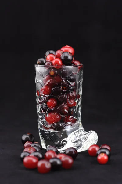 Cranberry en zwarte bessen — Stockfoto