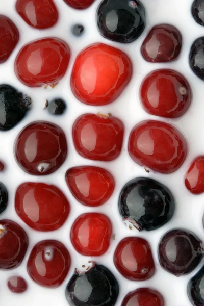 Cranberry en zwarte bessen in melk. — Stockfoto