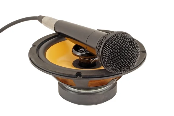 Microfone no alto-falante . Fotografia De Stock