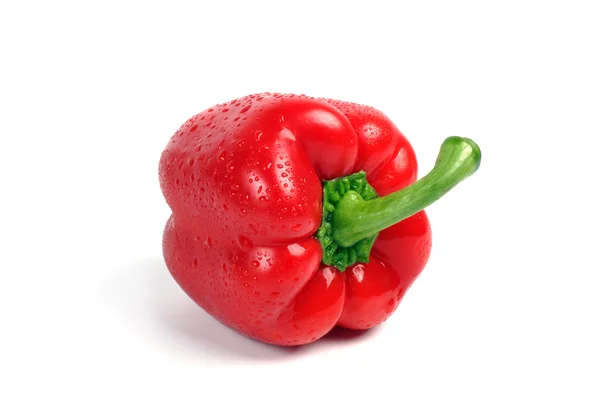 Rode paprika. — Stockfoto