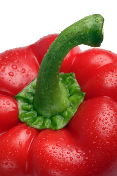 Μεγέθυνση της το κόκκινο γλυκό πιπέρι. — Φωτογραφία Αρχείου