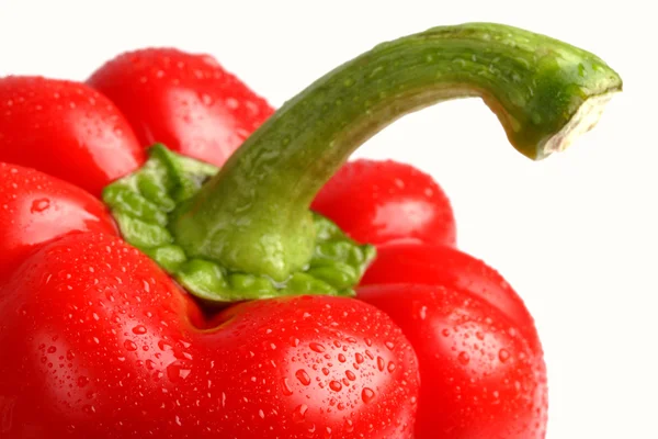 Wet sweet red pepper. — Stock Photo, Image