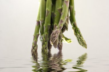 Asparagus clipart