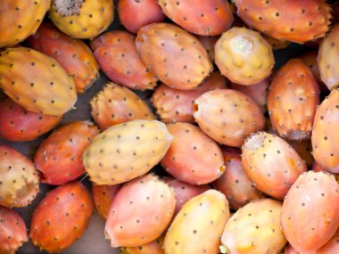 Prickly Pears clipart