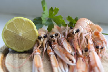 Platter of langoustine clipart