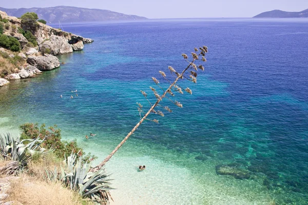 Pláž Agia efimia, cephalonia — Stock fotografie