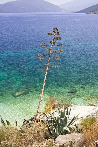 Pláž Agia efimia, cephalonia — Stock fotografie