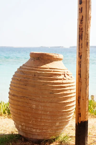 Jar a strandon — Stock Fotó