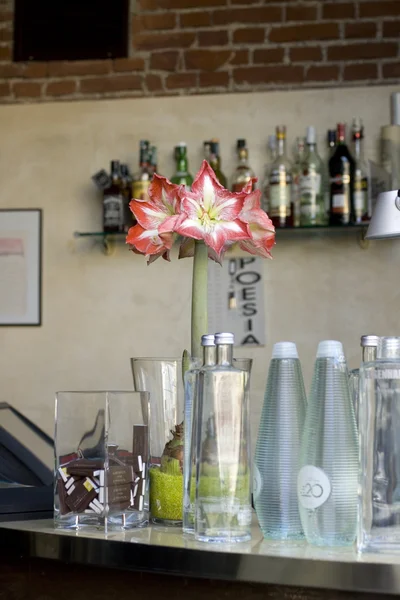 Comedor de un pub con una flor — Foto de Stock