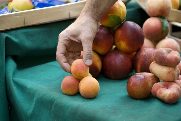 Persikor och aprikos — Stockfoto