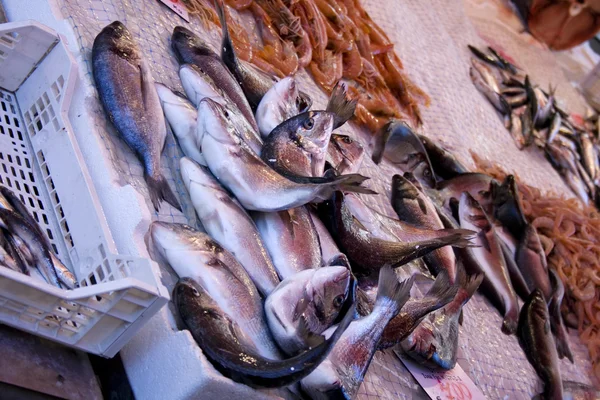 Fish stalls — Stock Photo, Image