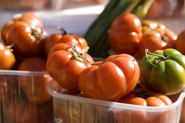 stock image Tomatoes