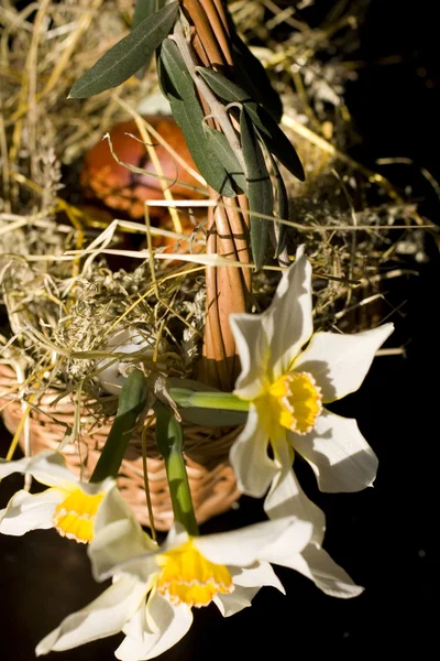 Osterkorb mit Blumen — Stockfoto