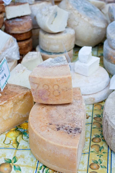 Cheeses — Stock Photo, Image