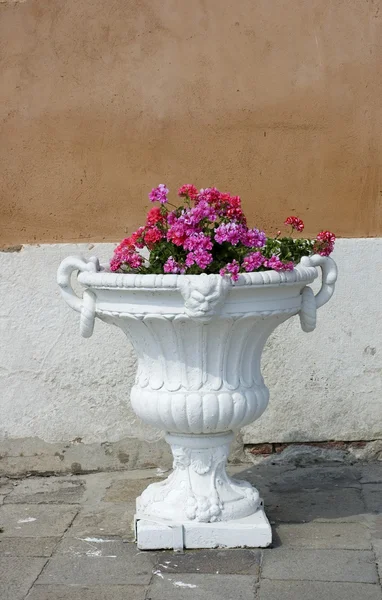 Vase mit Blumen — Stockfoto