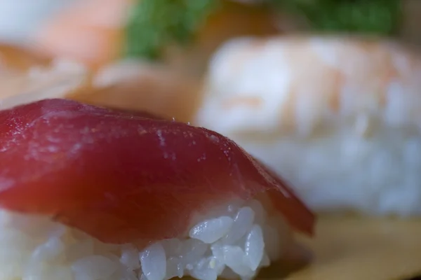 Nighiri-Sushi — Zdjęcie stockowe