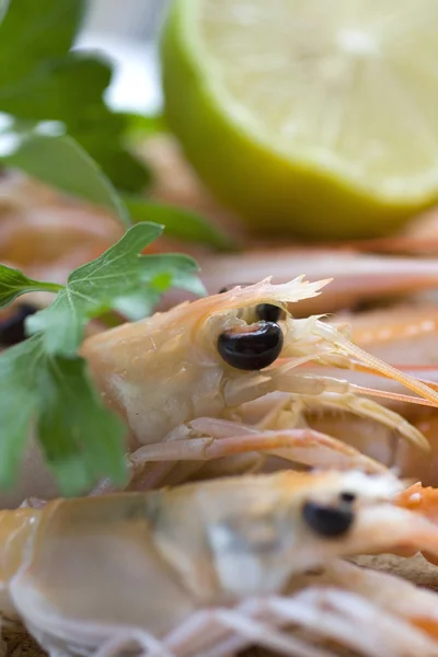 stock image Platter of langoustine