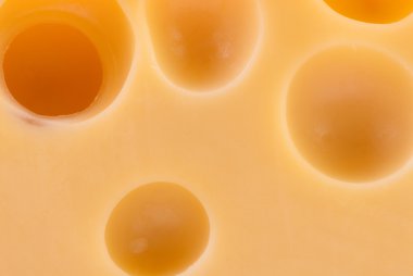 lezzetli peynir parçası