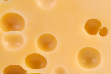 lezzetli peynir parçası