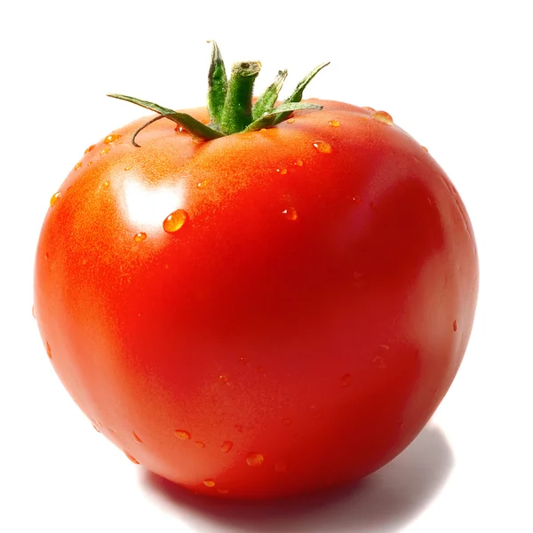 Rode tomaten. geïsoleerd over Wit . — Stockfoto