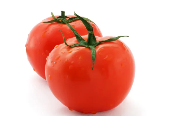 Twee verse tomaat — Stockfoto