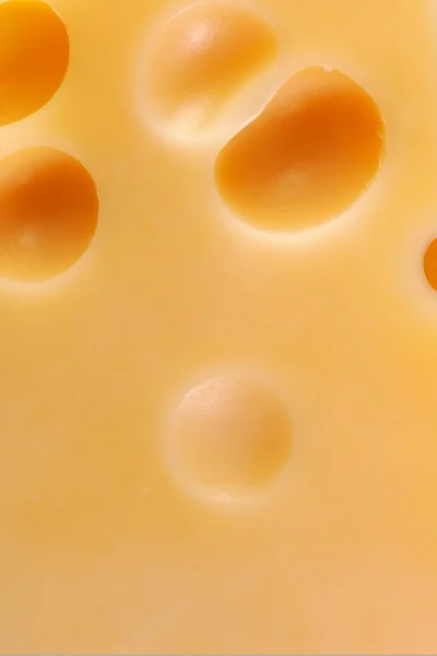 Pedaço de queijo saboroso — Fotografia de Stock
