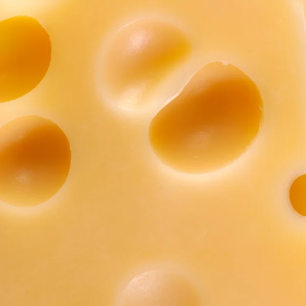 Stuk van smakelijke kaas — Stockfoto