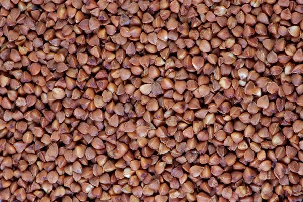 Buckwheat groats as background. — Stock Photo, Image