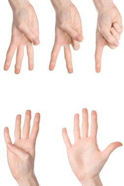 Counting woman hands clipart