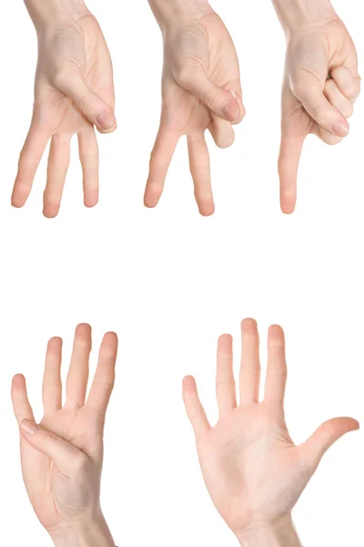 Підрахунок жінка руки — стокове фото