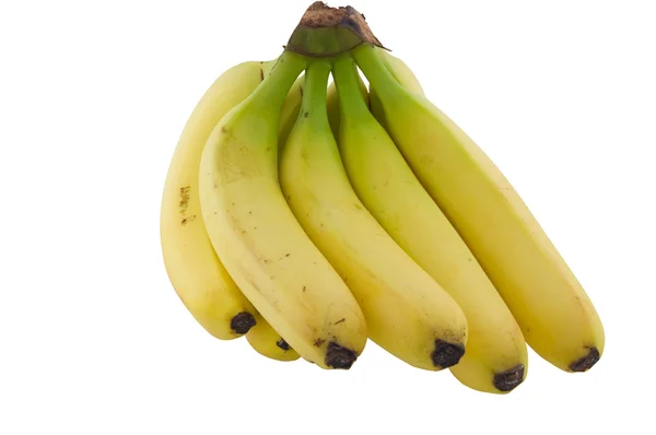 香蕉群集. — 图库照片