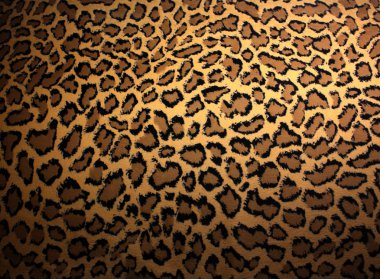 Leopard skin clipart