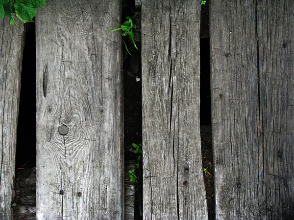 Holzgrunge — Stockfoto