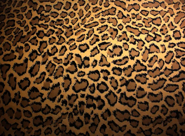 Piel de leopardo —  Fotos de Stock