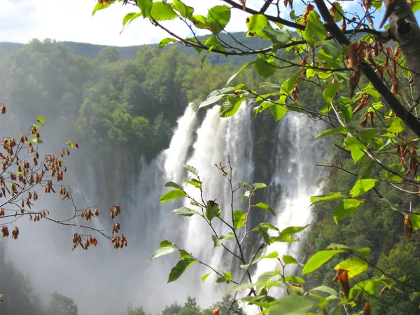 Beautiful waterfall Stock Picture