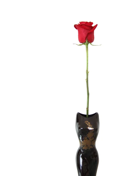 Vörös rózsa vázában Stock Kép